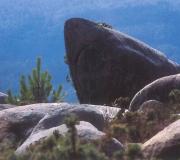 Tiburón (2010)