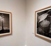 Fotografías de la exposición_0