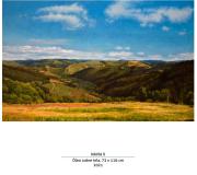 NAVIA II