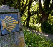 Madrid convértese nun lugar de reflexión sobre o Camiño de Santiago e toda a realidade diversa que o fenómeno da peregrinación creou.