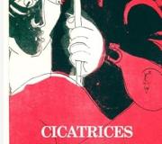 Portada da novela