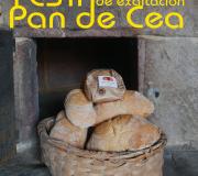 Cartel anunciador