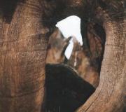 Fotografía de la exposición