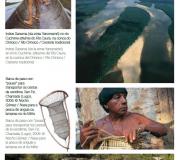 Imágenes de la exposición
