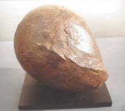 Cabeza 7. Bronce. 28 x 36 cm. 2012
