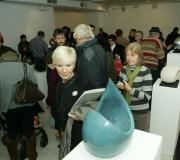 Aspecto xeral da mostra