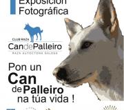 Cartel da exposición