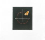 Cruza una mariposa, 51 cm. x 42 cm. x 3 cm.