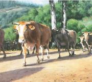 VACAS DEL&nbsp;PAÍS - Óleo sobre lienzo. 81 x 65 cm.
