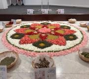 whatsapp-image-2026-05-12-at-11
